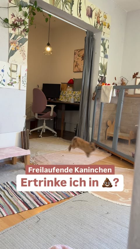 Instagram post by @svenjazoerakel.art for Levoit. Caption reads: [...] bin wie ihr wisst Fan von den....
