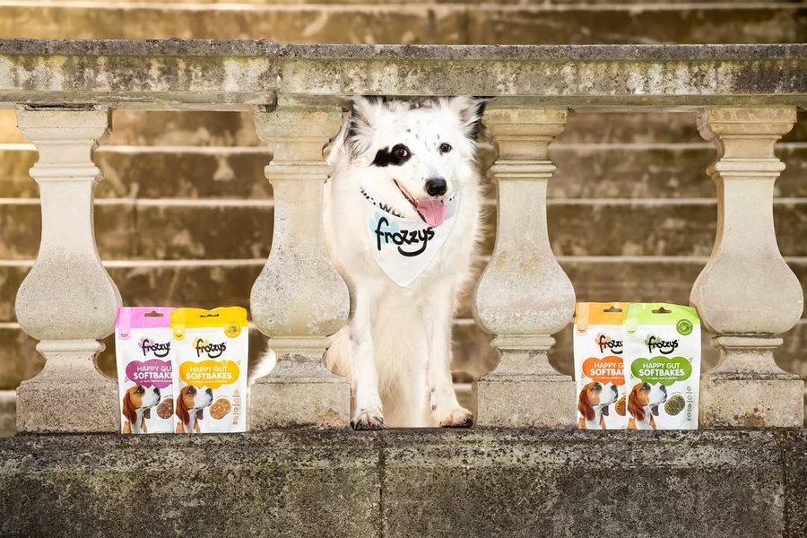 Instagram post by @a_collie_called_luna for Frozzys. Caption reads: All I want is a frozzys but which one should I....