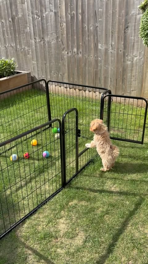 Instagram post by @home_themaltings for Yaheetech. Caption reads: How super handy is this @yaheetechuk dog pen we’ve....