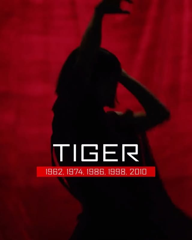 Instagram post by @mikaylageier for Lexus. Caption reads: REPPING YEAR OF THE TIGER!!! 🐅 #lexuspartner....