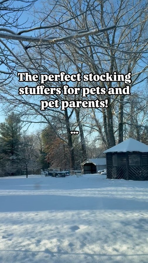 Instagram post by @ajax_and_odie_the_poodle_bros for Squishface. Caption reads: [...] stocking or presents?

.
.

#AD #squishface....