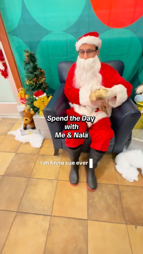 Instagram post by @moonthecinnamonferret for PetSmart. Caption reads: Nala may have scared Santa today, but at least she....