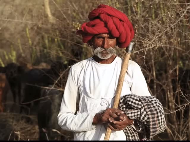 Instagram post by @folkmusicofrajasthan for Royal Enfield. Caption reads: Presenting “Bana ji on Bullet” by the one and only....
