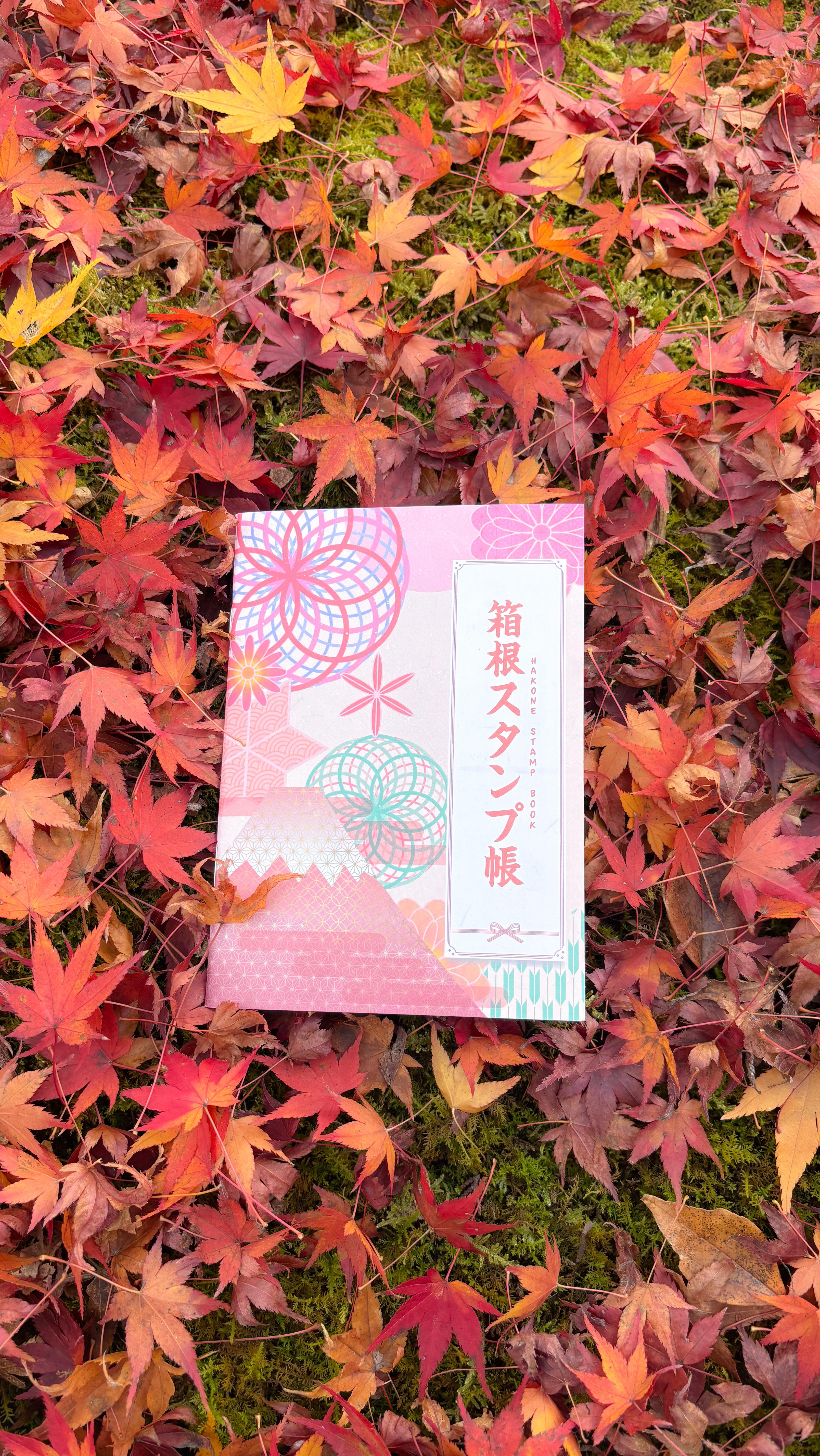 Instagram post by @softvintagedreams for LaceMade. Caption reads: [...] 💗💗 Dress gifted by @lacemadeofficial use....