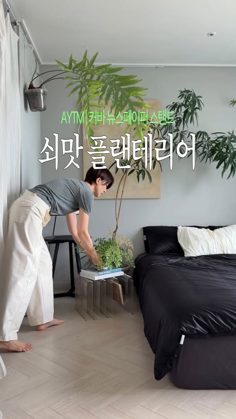 Instagram post by @greentica for Nordic Nest. Caption reads: [...] 꽤나 맘에 들어요. 플랜테리어 아이템으로도 굿입니다! ☺️👍🏻....