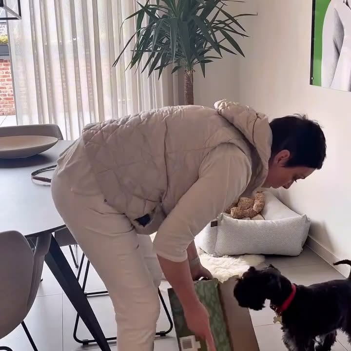 Instagram post by @winston_the_woofie for Scruffs. Caption reads: Next week we go on vacation to Italy 🇮🇹. Momm....