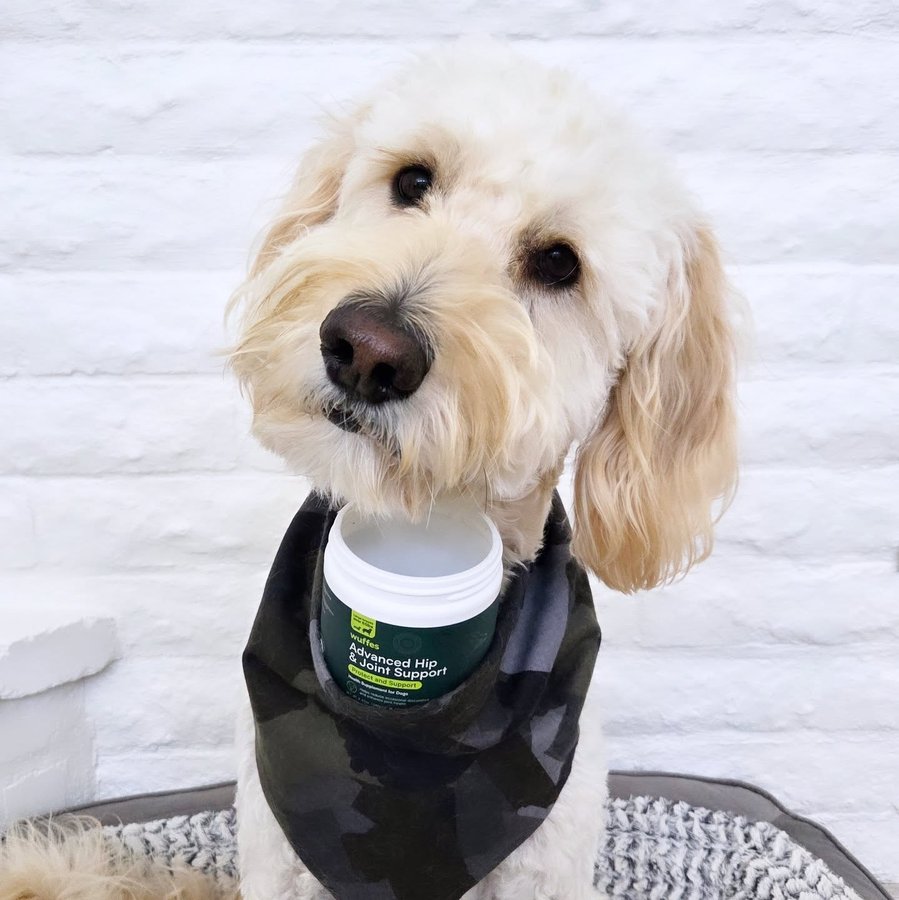Instagram post by @my.pawfect.life for Wuffes. Caption reads: [...] to my 'Advanced Hip & Joint Chews' by....