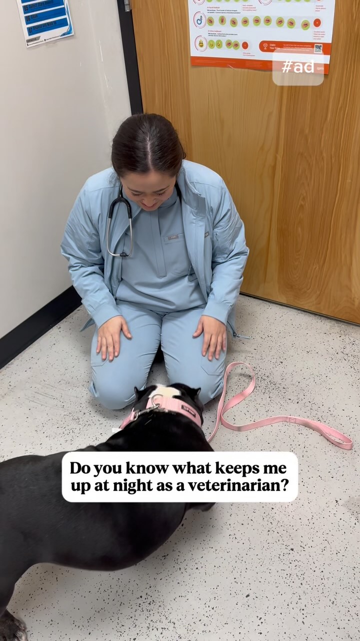 Instagram post by an influencer for Purina. Caption reads: [...] “PETS” to learn more about Purina Pro Plan....