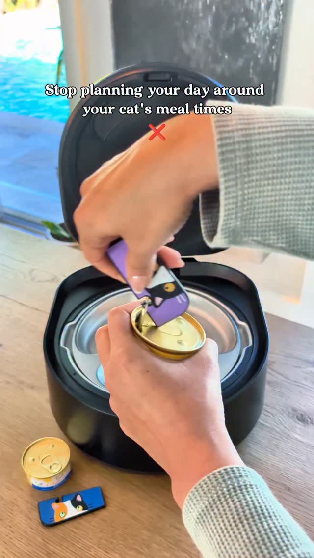 Instagram post by @itscookie.cat for Petlibro. Caption reads: [...] Cookie20 for 20% off you get it from....