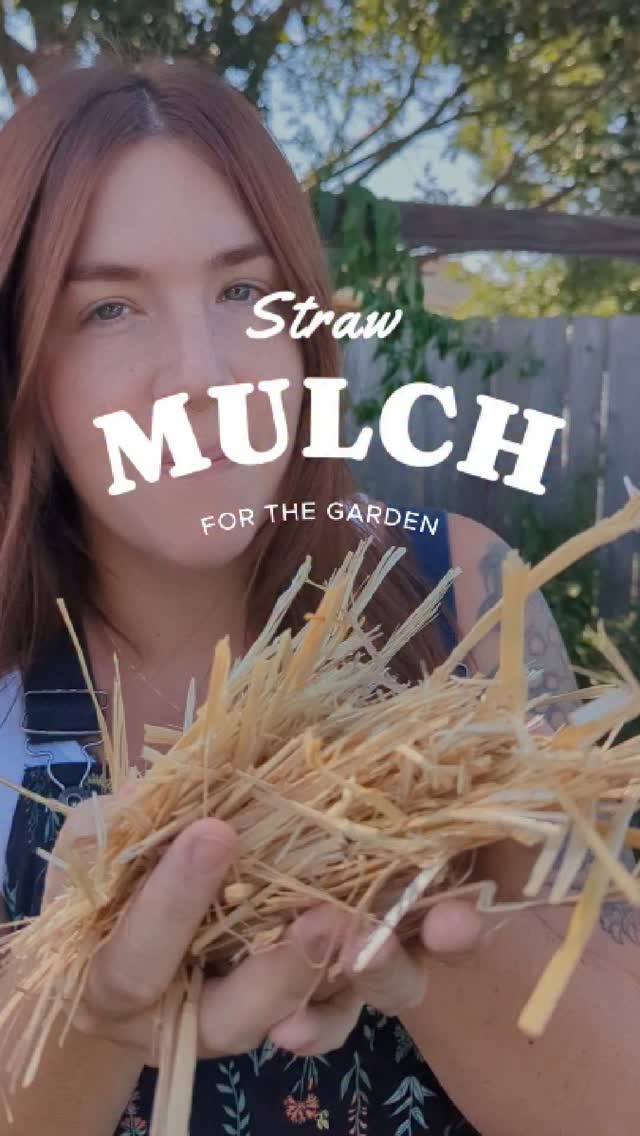 Instagram post by @fromthe.garden for Epic Gardening. Caption reads: My favorite garden mulch! . Over the years I've....