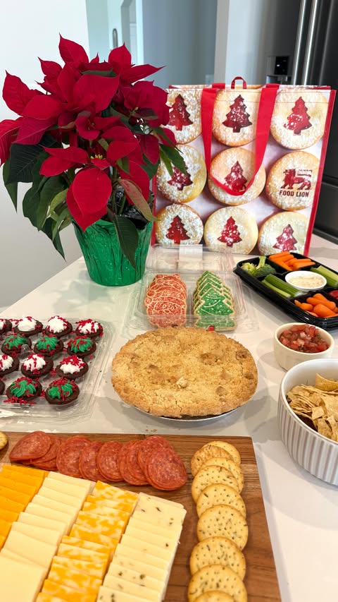 Instagram post by @andreagabrielllee for Food Lion. Caption reads: [...] a little get-together… so I ran to Food....