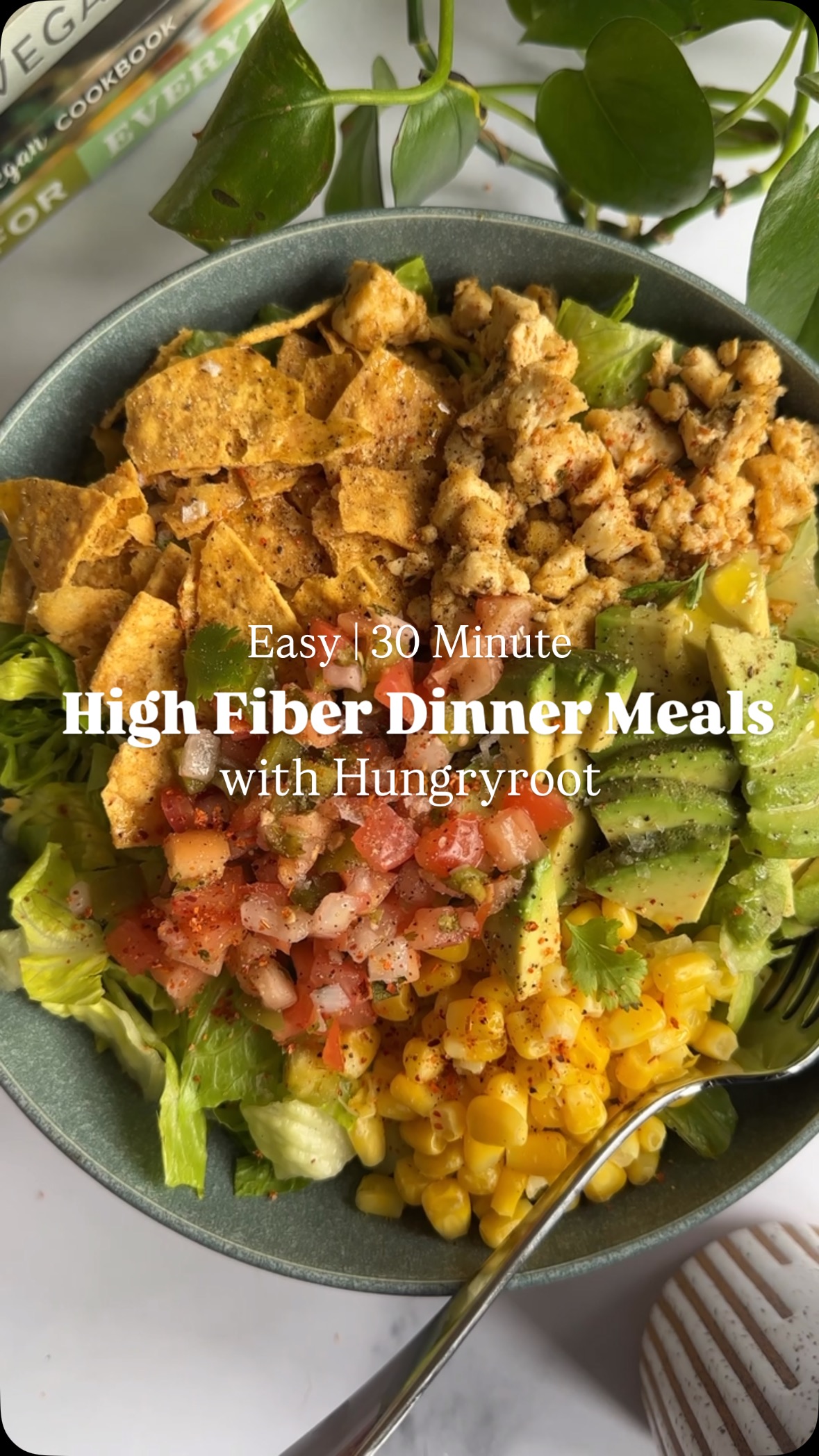 Instagram post by @dietitiandebbie for Hungryroot. Caption reads: #ad If you want to add more fiber to your diet but....