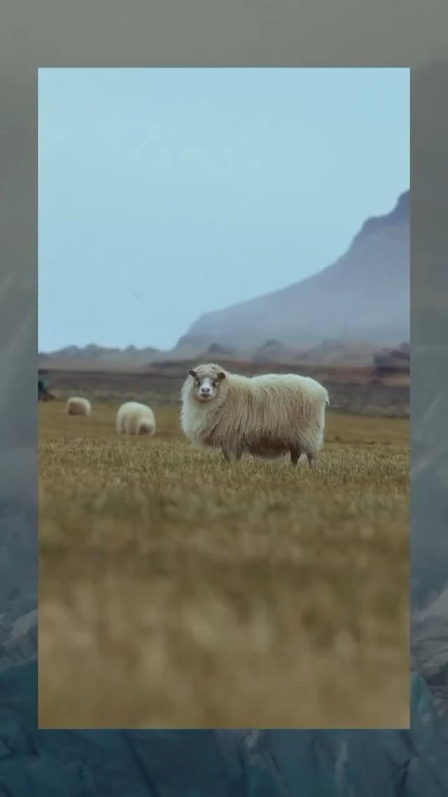 Instagram post by @asasteinars for 66°North. Caption reads: I wanted to give you a sneak peak into the making....