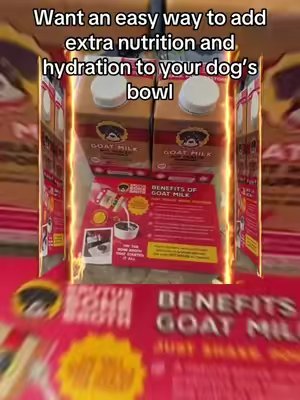 TikTok post by @pntsonfire for Brutus Broth. Caption reads: [...] #doghealth #dogwellness #dogtreats @Brutus....