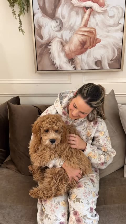 Instagram post by @ashleymariesavage for BISSELL. Caption reads: #ad *Holiday Cleaning Hack* Comment FUR to get all....