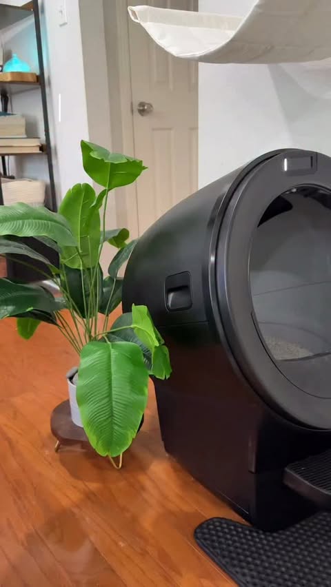 Instagram post by @hoogie_bear_ for Litter-Robot by Whisker. Caption reads: Today’s the ✨DAY✨ 🥹🤖 We’re adding a Litter....