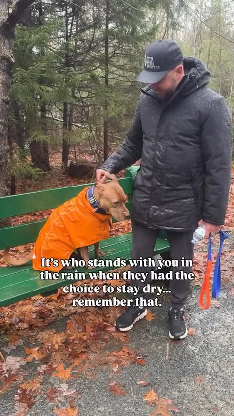 Instagram post by @markopolo902 for Spark Paws. Caption reads: Hard times don't create true friends, they reveal....