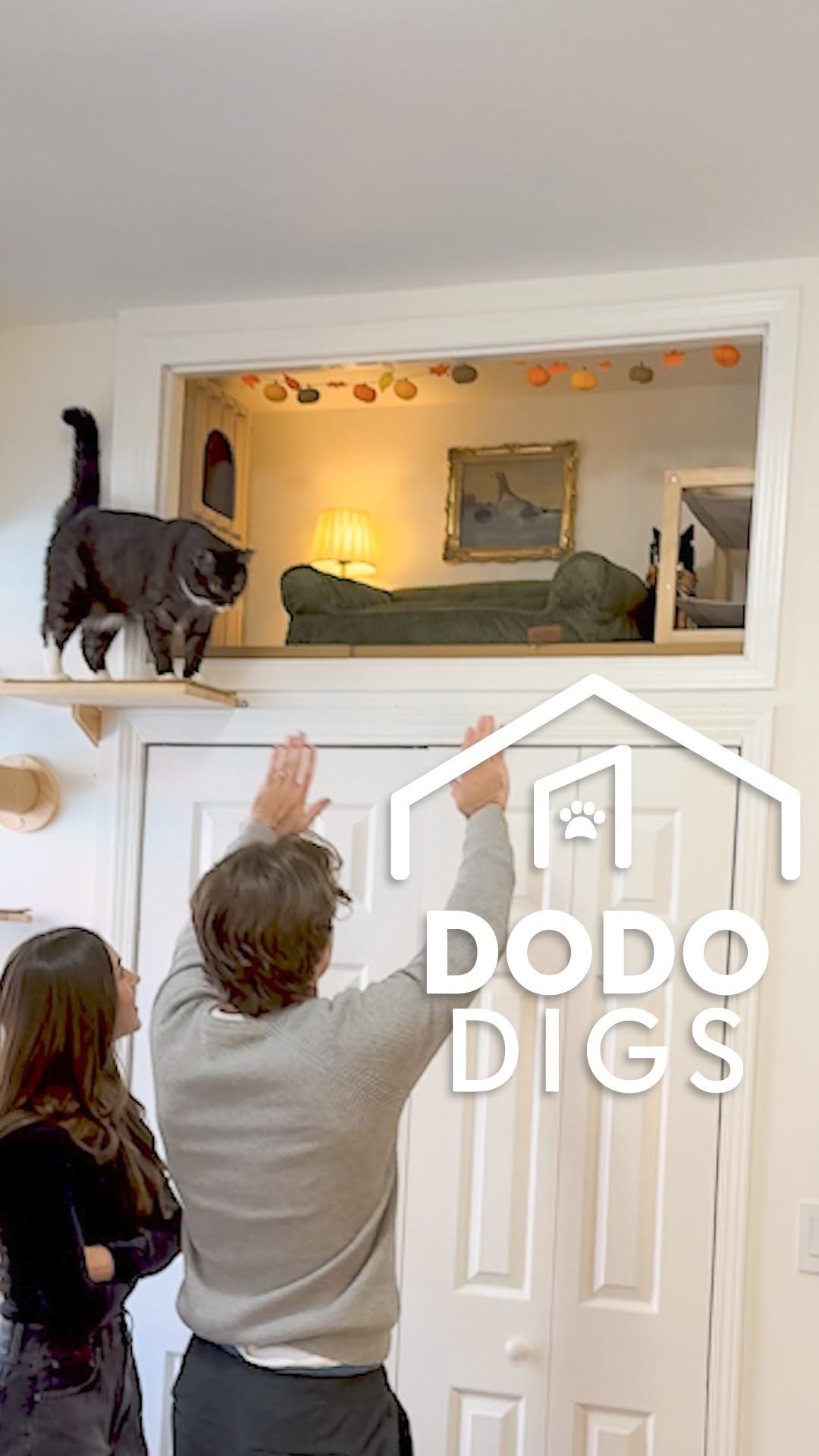 Instagram post by @loxandlottie for The Dodo. Caption reads: Their humans turned part of their apartment into a....