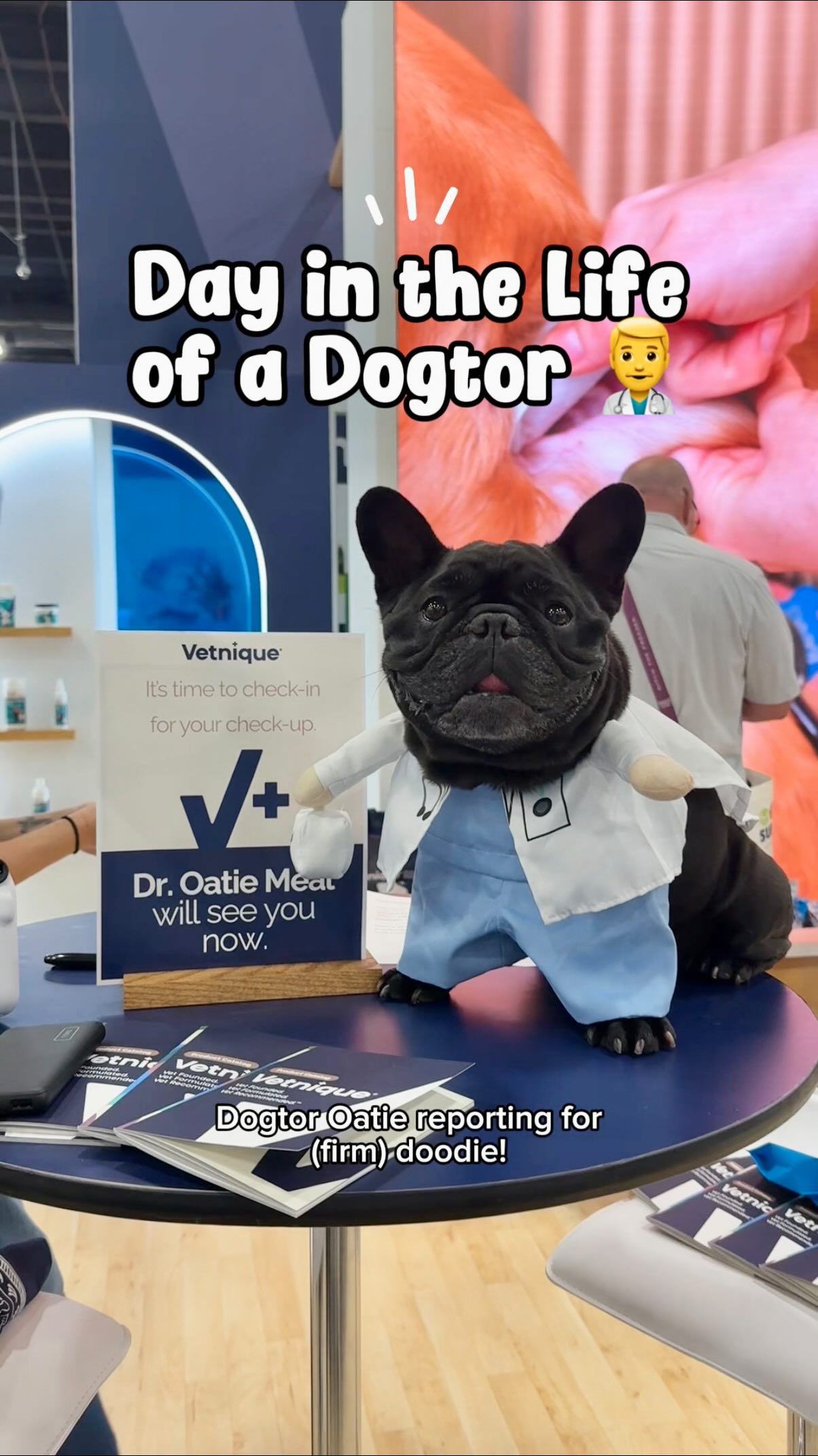 Instagram post by @oatiemeal for Vetnique. Caption reads: Dogtor Meal checking in at @vetnique for all ur....
