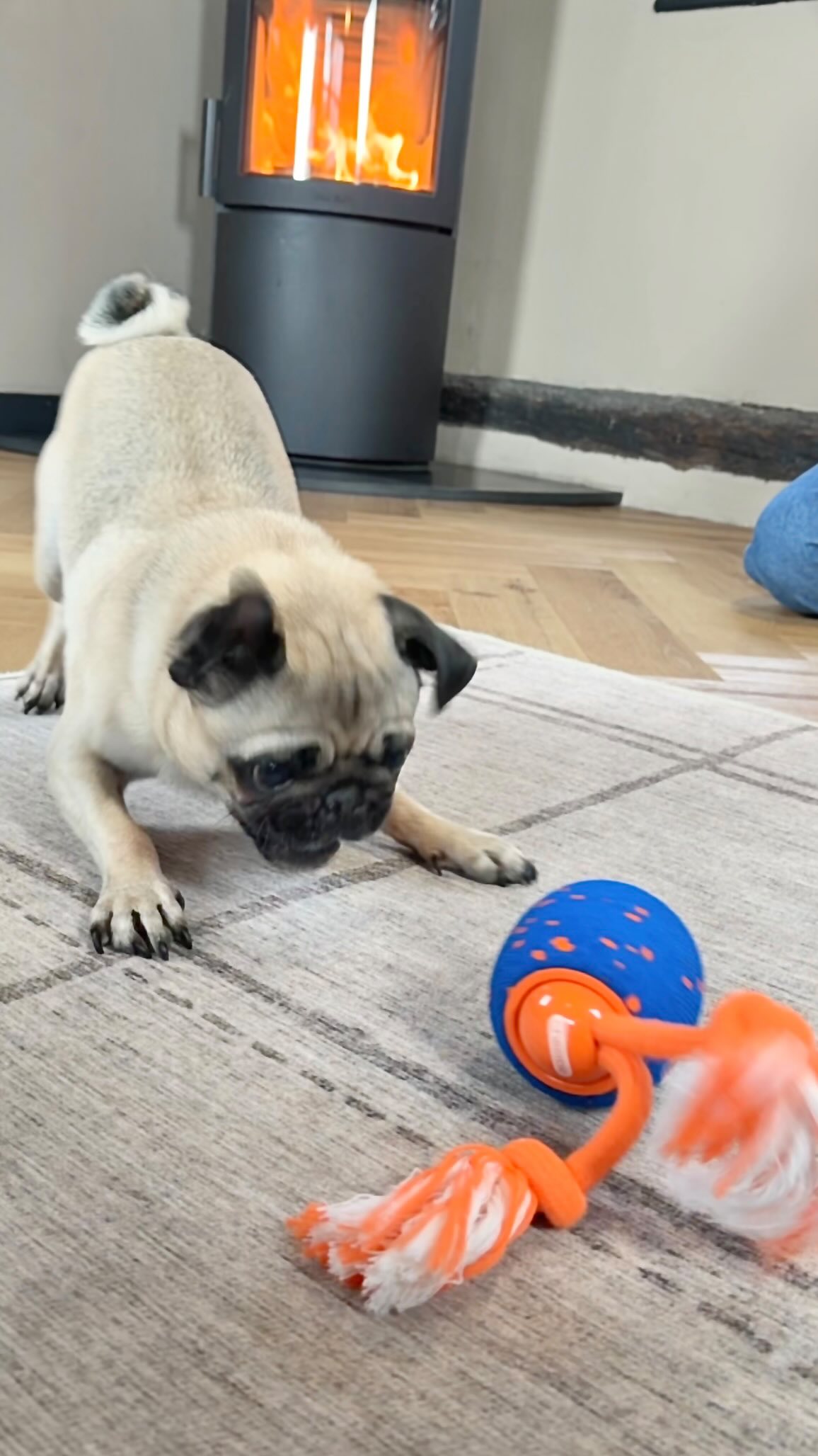 Instagram post by @thepuggysmalls for Cheerble. Caption reads: Happy new toy day to the Spicy Meatball! 🤪

The....