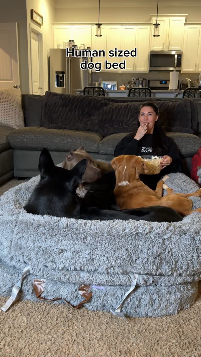 Instagram post by @mydogsdope for Lesure Pet. Caption reads: Finally got a human sized dog bed! @lesurepet Best....