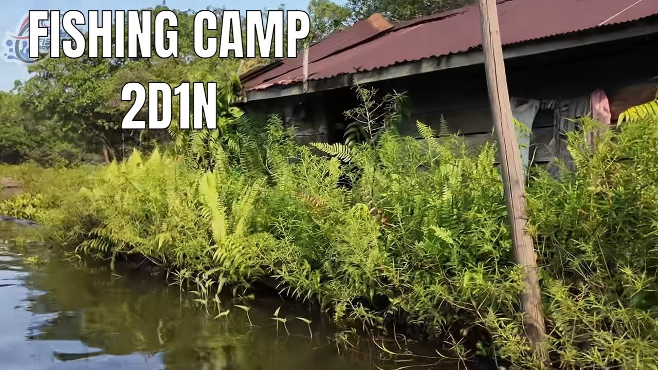 YouTube post by @FayzFishingAdventure for Tokopedia. Caption reads: FISHING CAMP AND OVERNIGHT AT THE EDGE OF AN....
