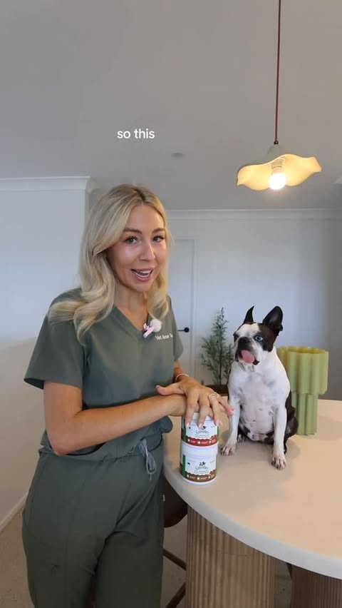 Instagram post by @tessnolan for GREENIES. Caption reads: [...] - let me introduce to you: Greenies Pill....