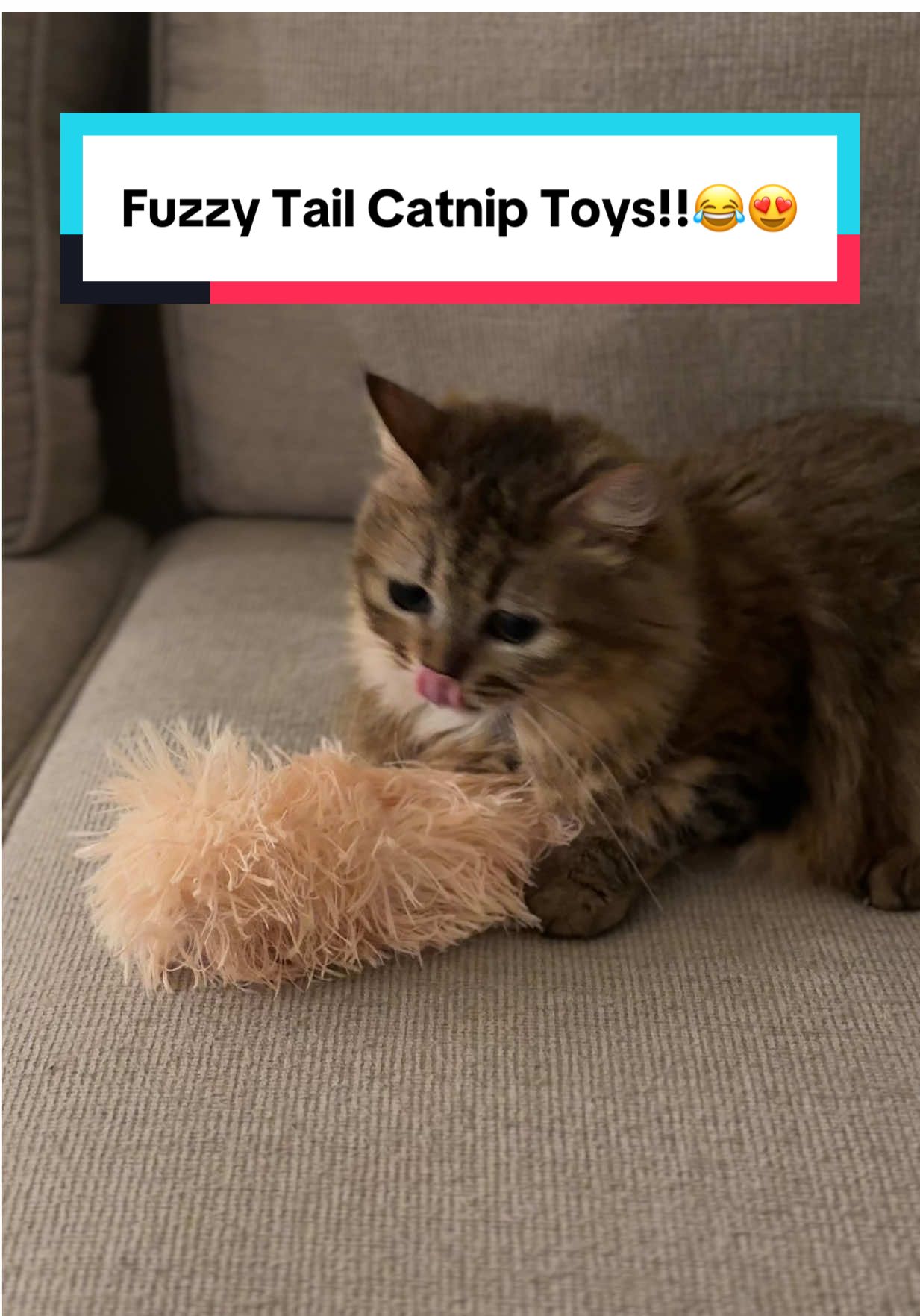 TikTok post by @luluthechonk for Potaroma. Caption reads: 3 fuzzy tail catnip toys. 7 unhinged cats. pray....