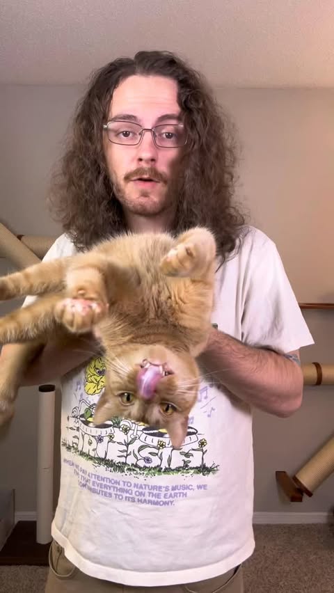 Instagram post by @renusdelph for Hholove. Caption reads: We got a new litter box from @hholove_global , you....