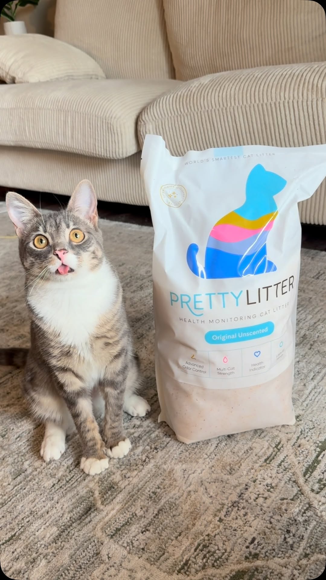 Instagram post by @iamrigbycat for Prettylitter. Caption reads: We use @prettylitter to stay on top of Rigby’s....