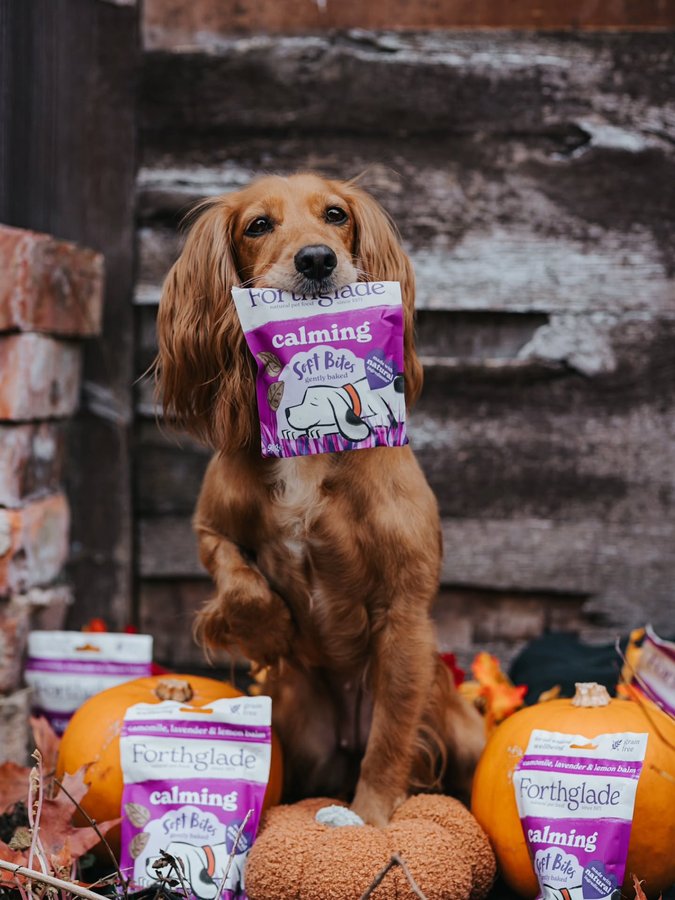 Instagram post by @woofwagwalk for Forthglade. Caption reads: The only thing that really scares me about....