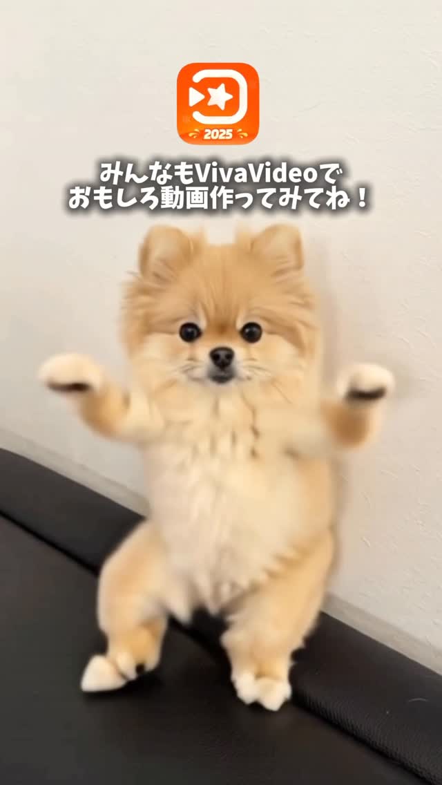 Instagram post by @chachamaru_0715 for VivaVideo. Caption reads: ☁️

アプリで一瞬で作った巨大みるちです🐶笑

VivaVideo動画編集アプリで写真1枚選ぶだ....