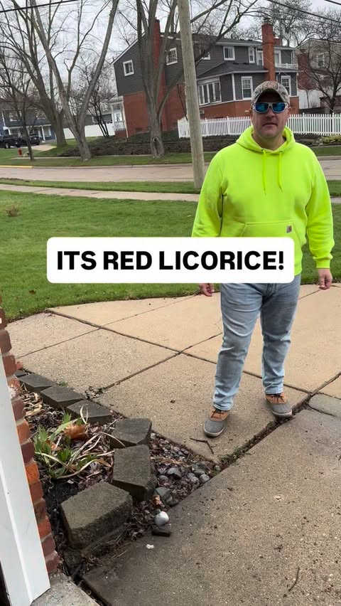 Instagram post by @waynecountylyfe for 5-hour ENERGY. Caption reads: I can’t describe it any better! It’s red licorice!....