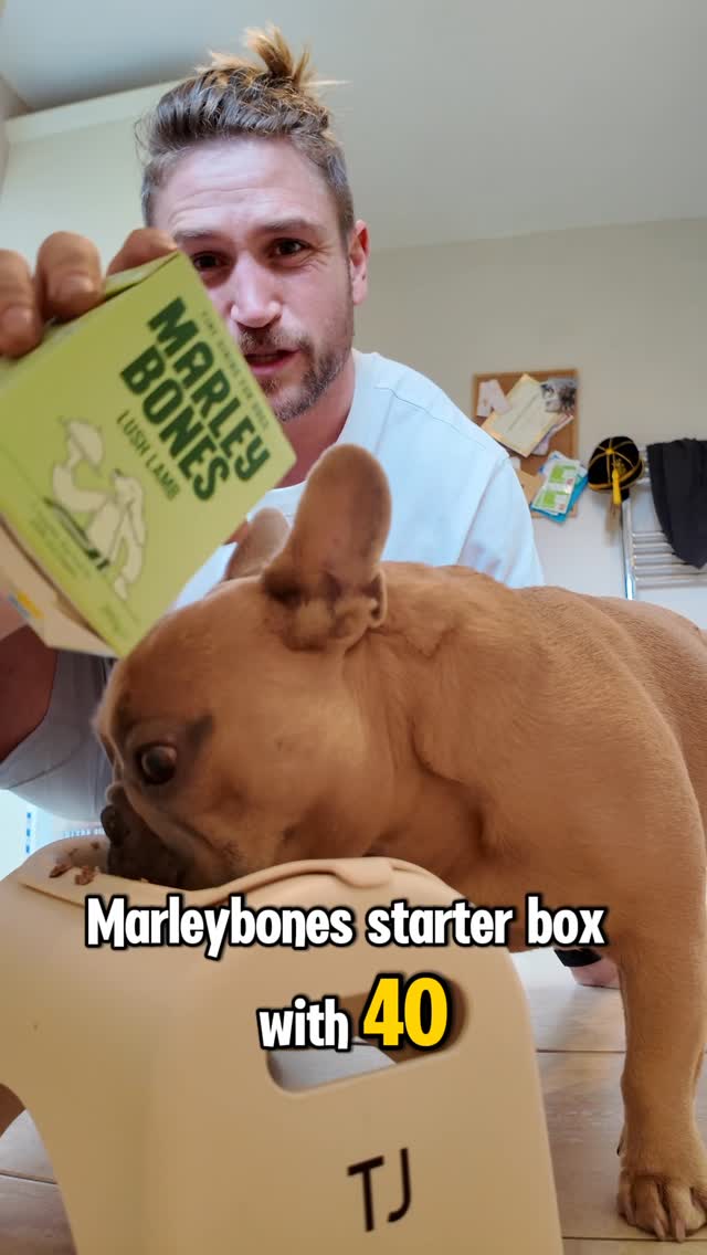 Instagram post by @tj.the.frenchie for Marleybones. Caption reads: [...] nutrition? 🐶 

Then you need to give....