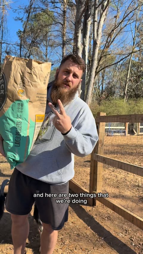 Instagram post by @bandrhomestead for Scratch and Peck Feeds. Caption reads: Cold outside? @scratchandpeckfeeds can help with....