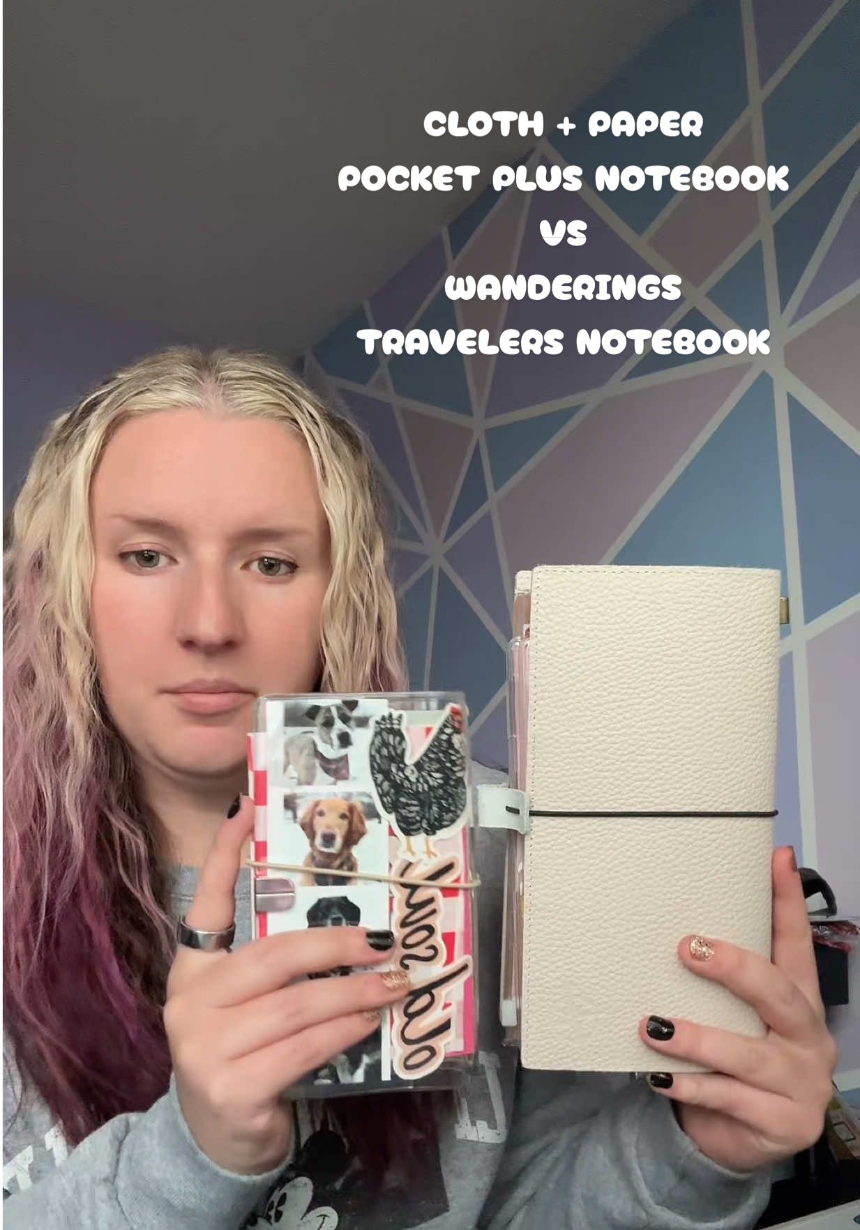 TikTok post by @icedlatteswithlex for Clothandpaper. Caption reads: Cloth + Paper pocket plus notebook vs Wanderings....