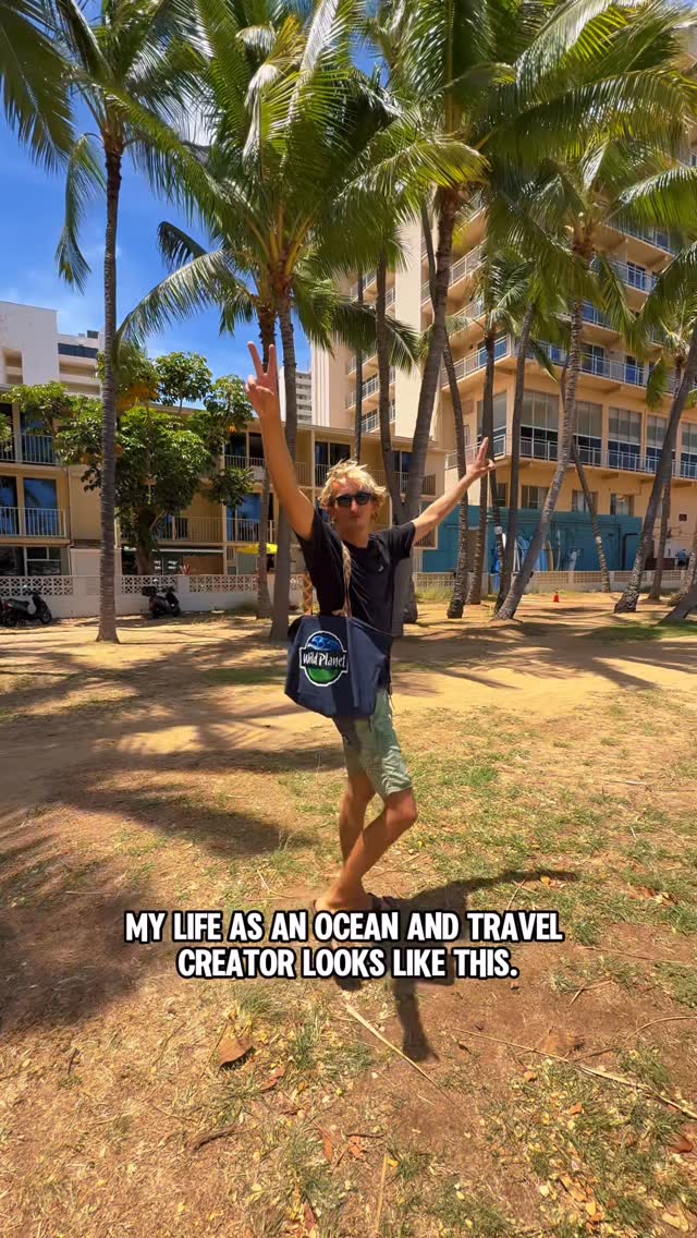 Instagram post by @gavinheeks for Wild Planet Foods. Caption reads: From diving with sharks to chasing the wild, every....