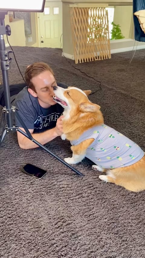 Instagram post by @hammyandolivia for The Farmer's Dog. Caption reads: [...] needed real food. I switched him to....