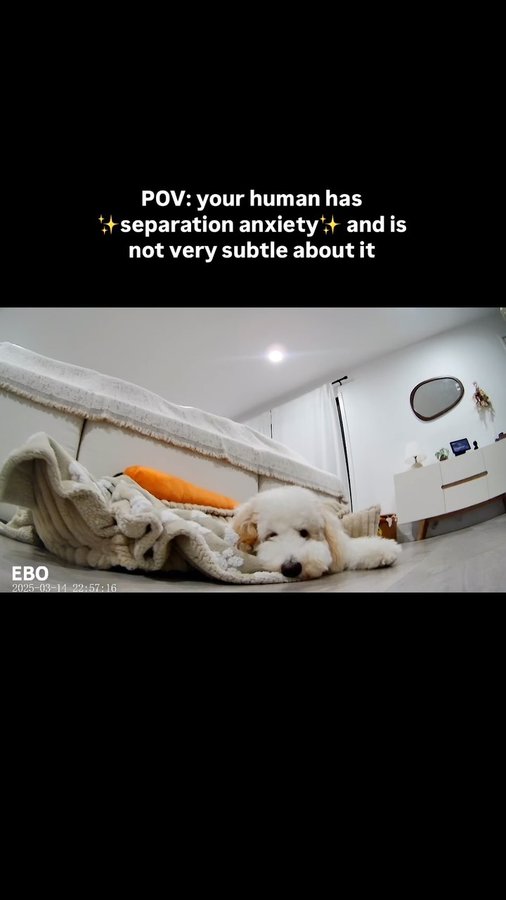 Instagram post by @milathegirlydoodle for Enabot. Caption reads: [...] when I’m not there with her. 🥹😭🫶🏻....