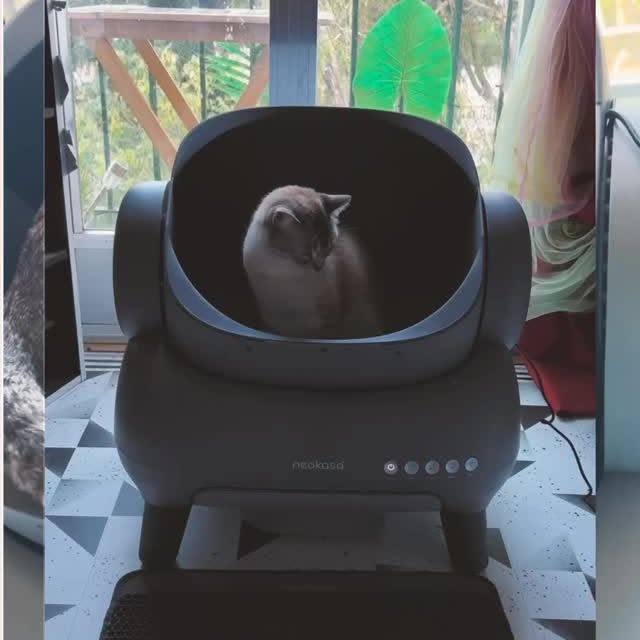 Instagram post by @carlosdnobrega for Neakasa. Caption reads: Say hello to Nest – the portable and customisable....