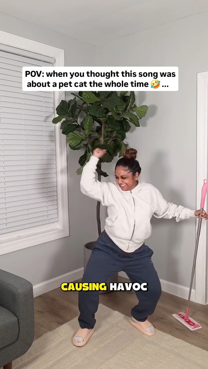 Instagram post by @iamnancyjay for Swiffer. Caption reads: so the lady never had a pet cat?? 👀 🤣 ... soca....