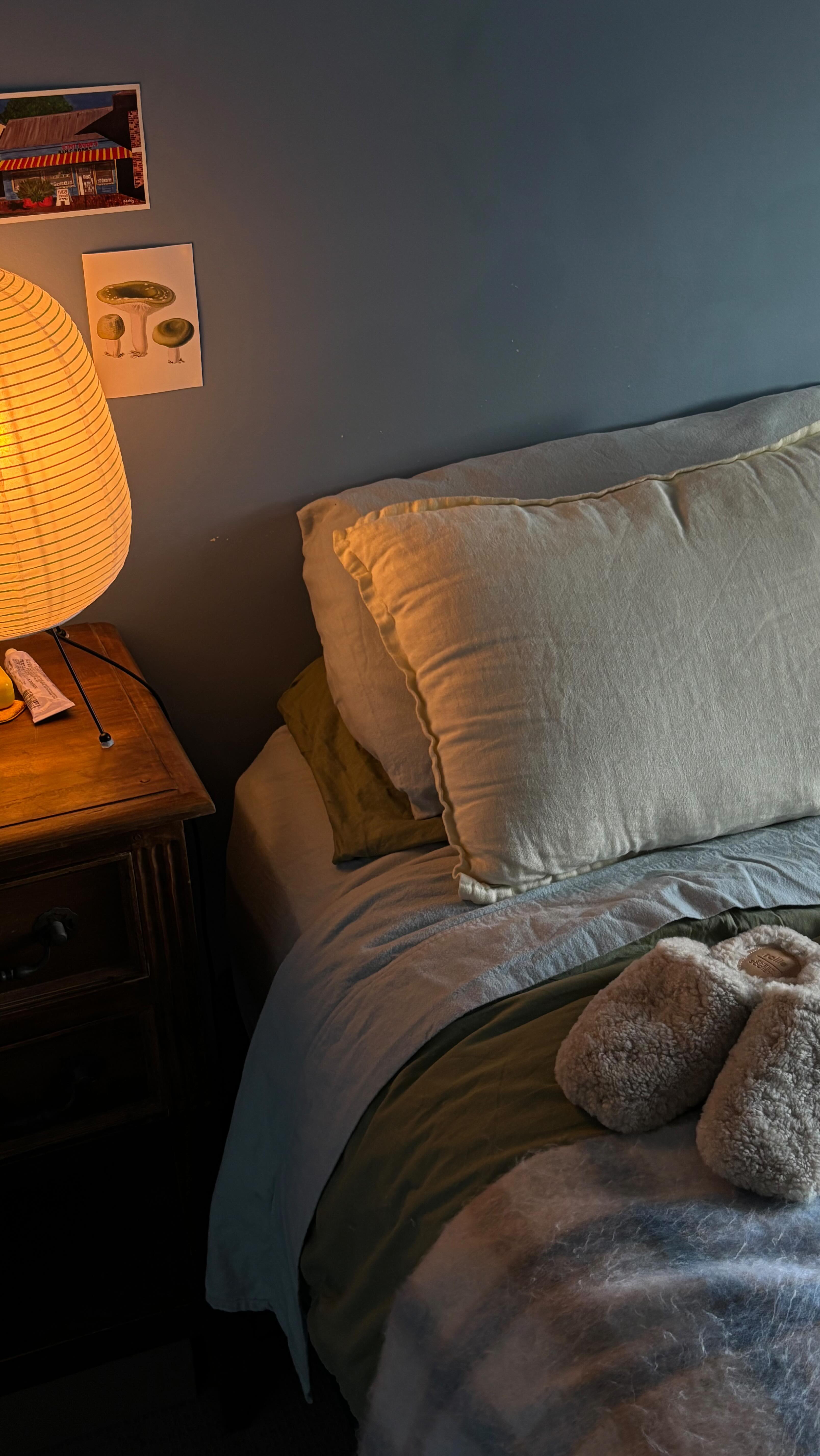 Instagram post by @_nickihan for Sheet Society. Caption reads: [...] morning with me and @rollienation....