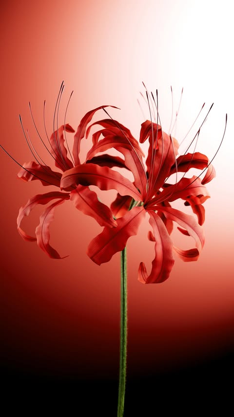 Instagram post by @nikita_krushko for Lunar Tides Hair. Caption reads: Final vs. Viewport 

A little BTS of how I did....