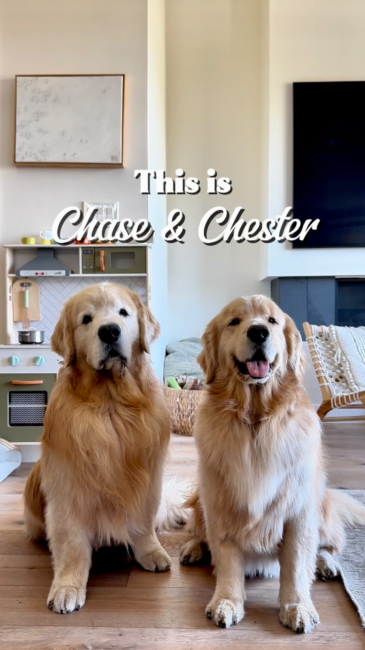 Instagram post by @chasin_chester for Bissell. Caption reads: Go on, be messy. It’s for a good cause! 😉....