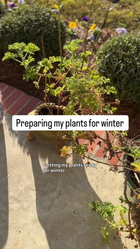 Instagram post by @simplysoutherncottage for Rocket Mortgage. Caption reads: #ad Partnering with @rocketofficial....