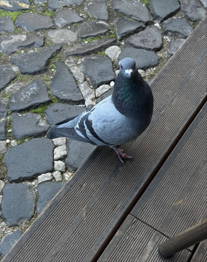 Instagram post by @nurbilenyavuzer for Beauty Omelette. Caption reads: Slow down📎

full look @beautyomelette 
ad, reklam.