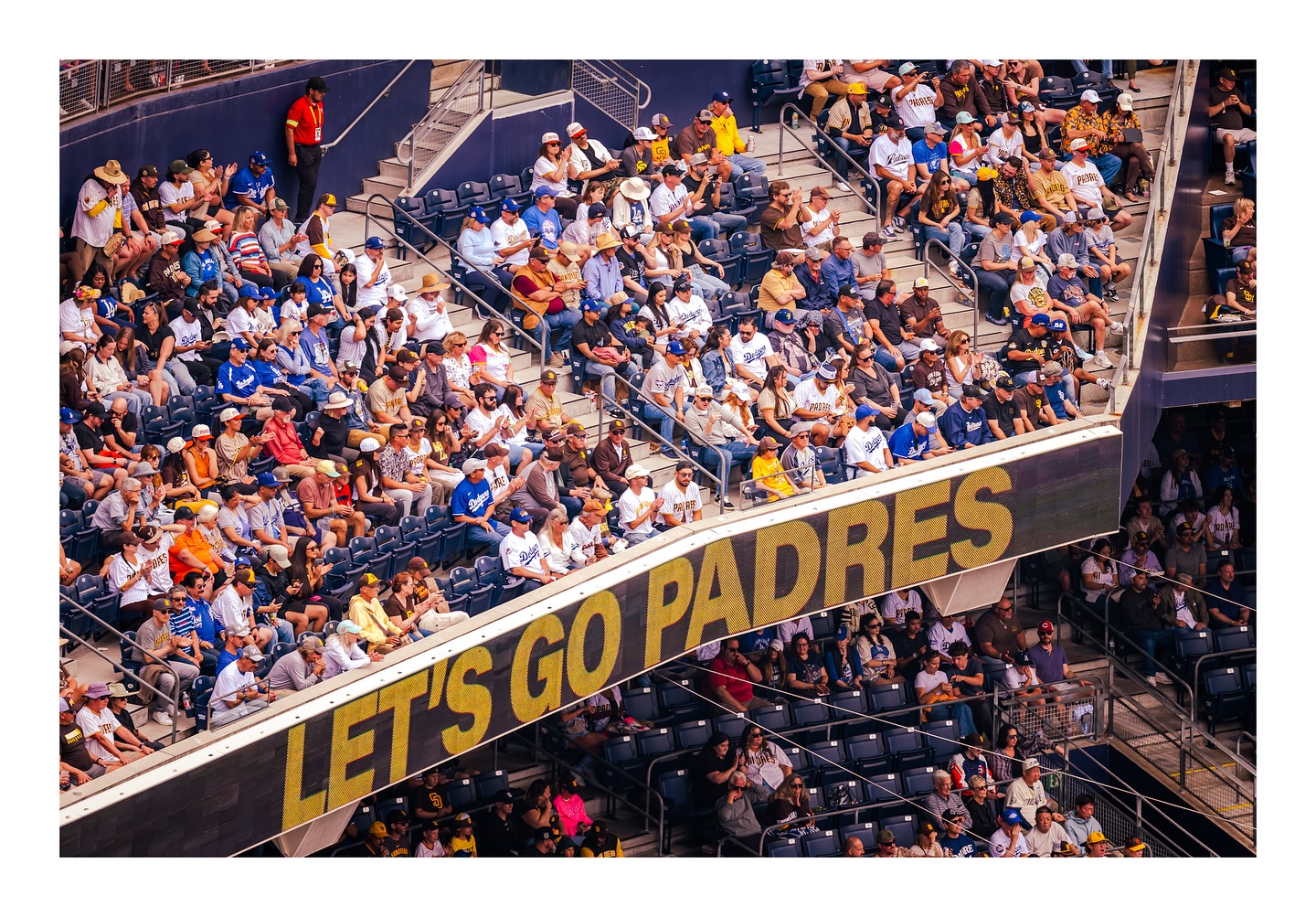 Instagram post by @lfgsd for Petco. Caption reads: 🤎💛Brown & Gold vs. Blue & White💙🤍

When the....
