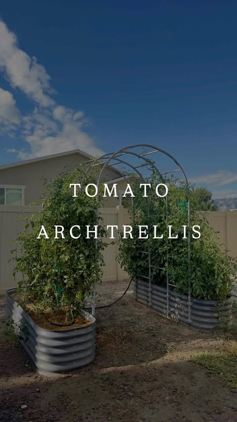 Instagram post by @realfarmerjeff for Vego Garden. Caption reads: [...] can save you 5% on any Vego Garden Products.....