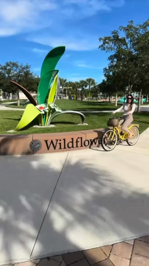 Instagram post by @aroundbocaraton for The Palm Beaches. Caption reads: Watching this space grow alongside Boca Raton as....