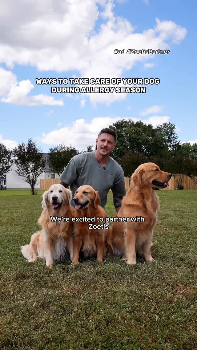 Instagram post by @hdbrosriley for Zoetis Petcare. Caption reads: #ad #zoetispartner We’ve been pet parents for over....